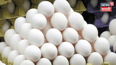 Egg Price 