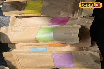 होळीच्या रंगांनी त्वचा होणार नाही खराब! फॉलो तज्ज्ञांच्या 'या' खास टिप्स