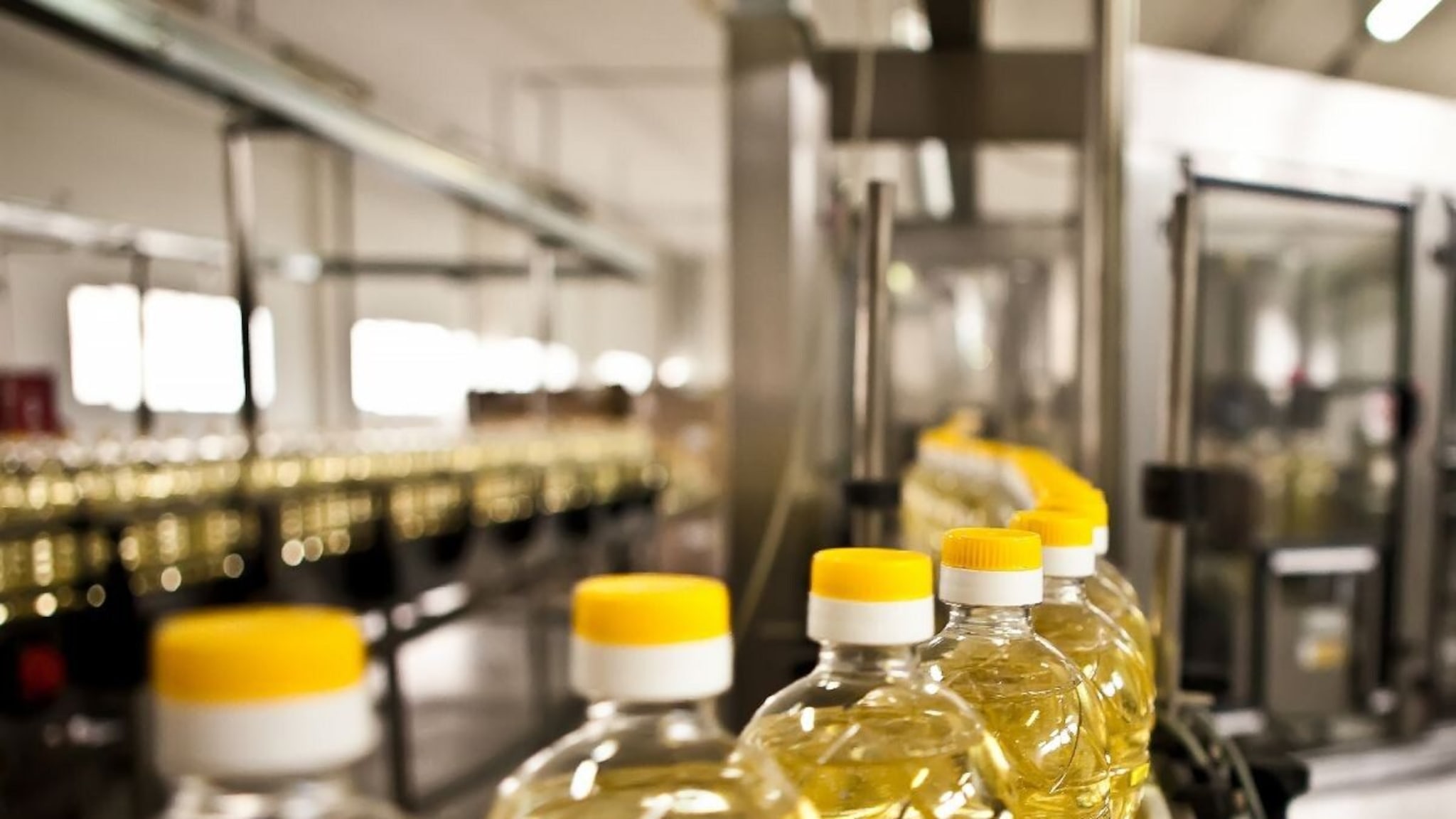 किचनचं बजेट बिघडलं! खाद्यतेलाच्या किंमतींमध्ये मोठी वाढ, किती रुपयांनी महागलं?