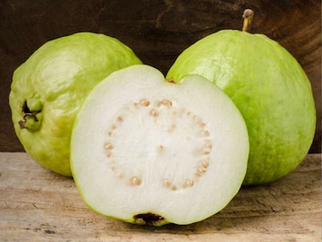 Guava : पेरू खाताना साल काढून खायची की सालीसोबत? तज्ज्ञ काय सांगतात वाचा Guava : पेरू खाताना साल काढून खायची की सालीसोबत? तज्ज्ञ काय सांगतात वाचा