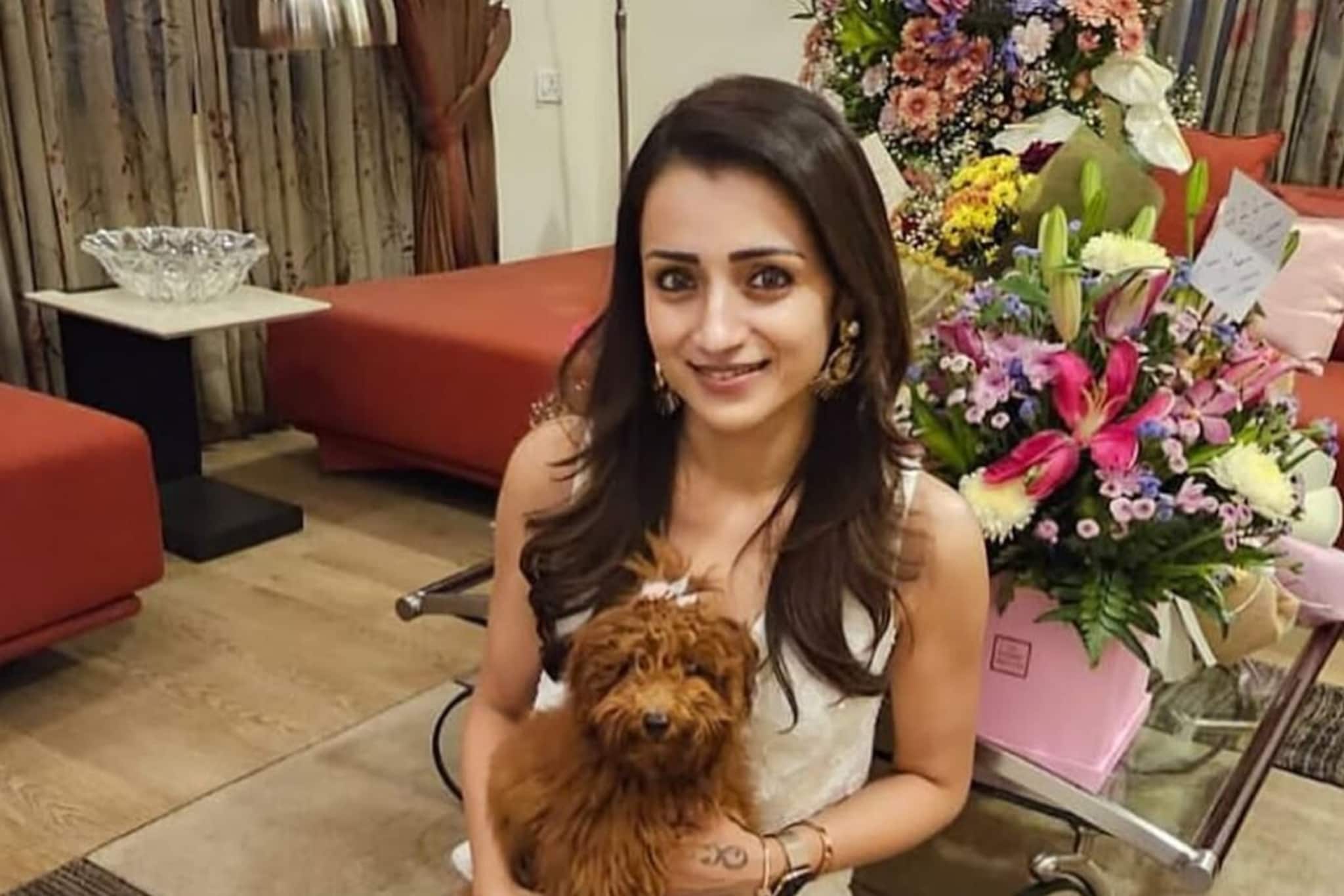 अलिशान बंगला, लक्झरियस कार्स, करोडोंची मालकिण आहे तृषा कृष्णन; मानधन किती?