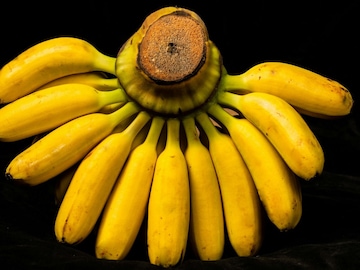 Banana : केळी नैसर्गिक पिकलेली की केमिकलने? फक्त देठाचा रंग पाहून ओळखा, ही ट्रिक लक्षात ठेवा Banana : केळी नैसर्गिक पिकलेली की केमिकलने? फक्त देठाचा रंग पाहून ओळखा, ही ट्रिक लक्षात ठेवा