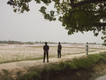 1-2 नाही 3 हिट सीझन्स, OTT ची टॉप ट्रेंड क्राइम-थ्रिलर वेब सीरिज; ज्याने बदललं 11 कलाकारांचं करिअर