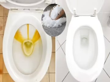 Toilet Cleaning Tips: टॉयलेट साफ करण्याचा कंटाळा? आता ब्रश न वापरता असा चमकवा कमोड; घरातील 'या' 2 गोष्टी करतील जादू Toilet Cleaning Tips: टॉयलेट साफ करण्याचा कंटाळा? आता ब्रश न वापरता असा चमकवा कमोड; घरातील 'या' 2 गोष्टी करतील जादू