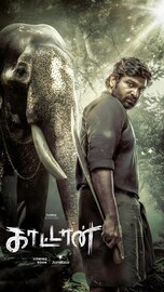 रोमान्स पासून अँक्शनपर्यंत, OTT च्या वर नव्या फिल्म-सीरिजची लिस्ट; 1 डॉक्युमेंट्री अजूनही मोस्ट अवटेड