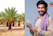 Success Story : बीडच्या दत्तात्रयची स्मार्ट शेती! पारंपरिक पिकाचा नाद सोडला, शेतात फक्त ८० रोपं लावली, वर्षाला करतोय १२ लाखांची कमाई