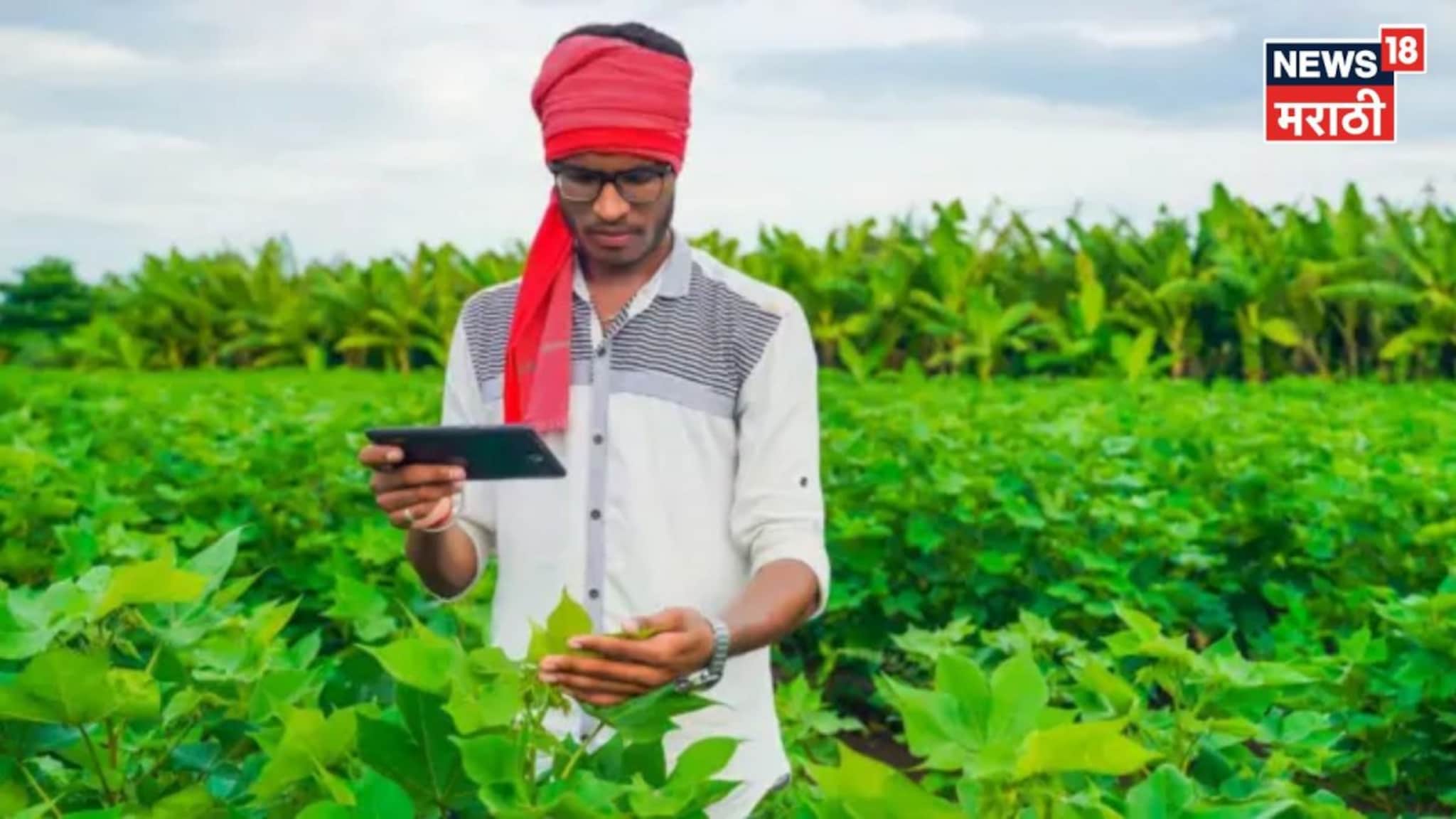 शेतकऱ्यांना मोठा दिलासा! रब्बी हंगामातील ई पीक पाहणीलाम मुदतवाढ, पण किती तारखेपर्यंत? 