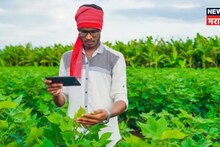 शेतकऱ्यांना मोठा दिलासा! रब्बी हंगामातील ई पीक पाहणीला मुदतवाढ, पण किती तारखेपर्यंत?