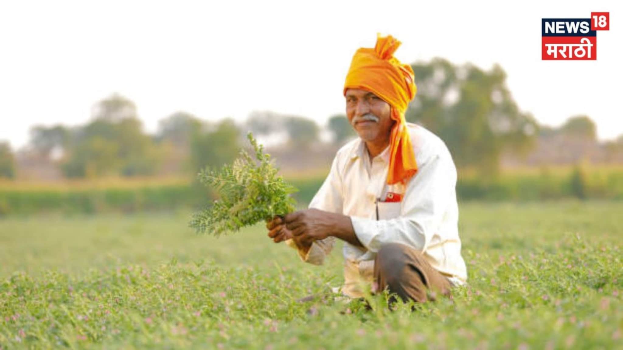 आता थेट शेतकऱ्याच्या बांधावर...., कृषी विभागाचा दिलासादायक निर्णय