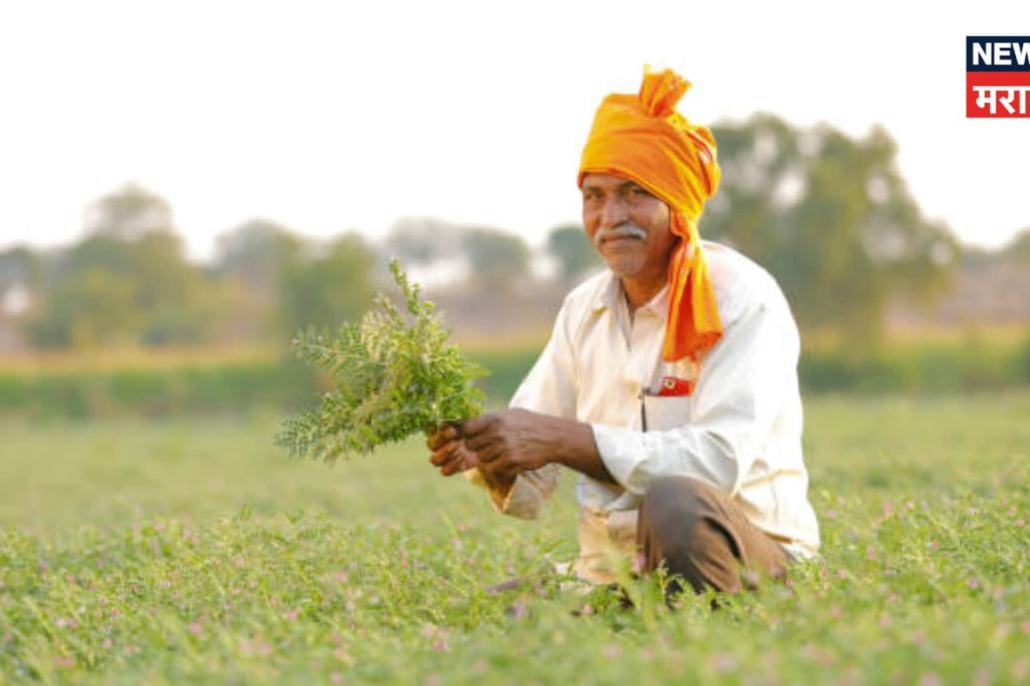 आता थेट शेतकऱ्याच्या बांधावर...., कृषी विभागाचा दिलासादायक निर्णय