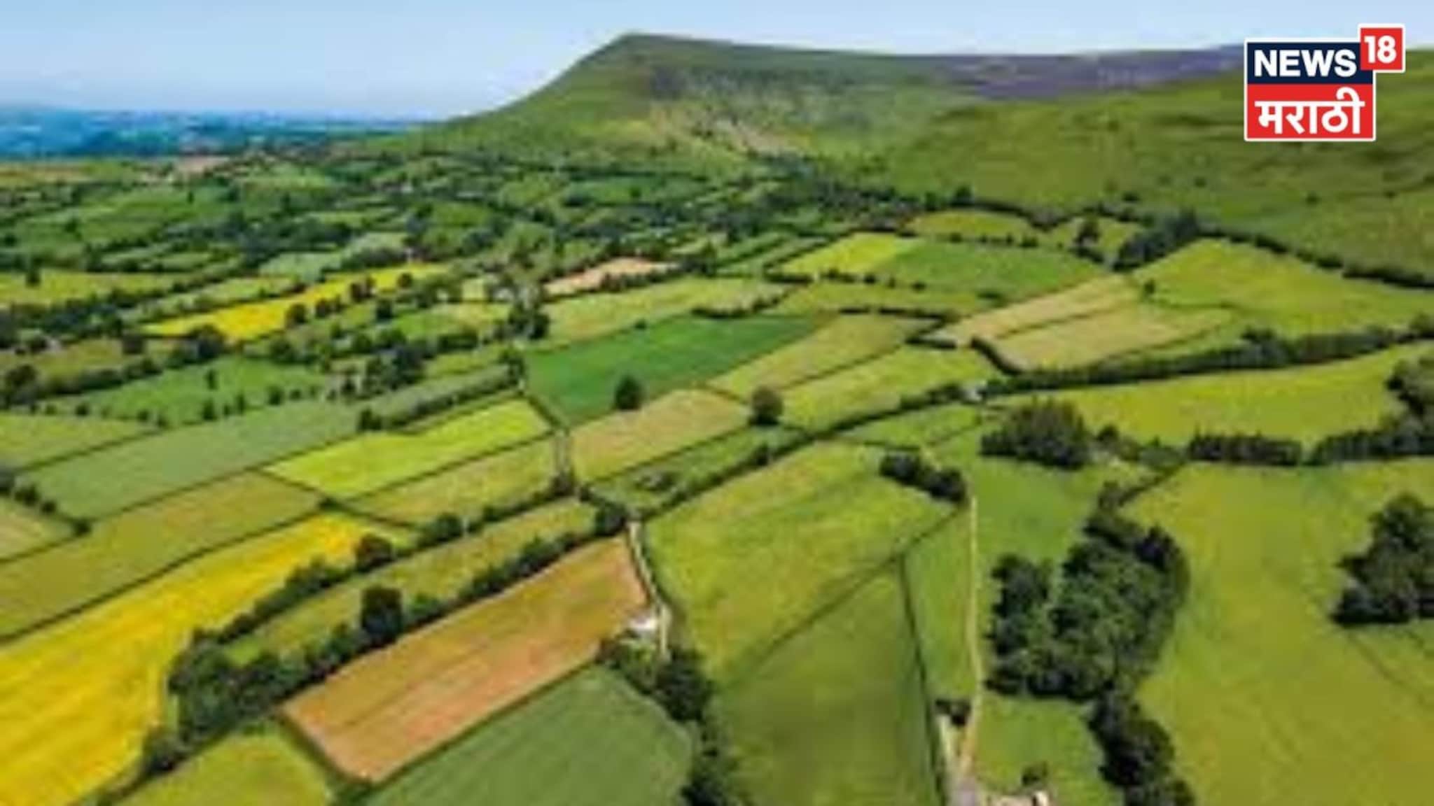 वर्षानुवर्षे जमीन वापरताय पण मालकीचा पुरावा नाही, अशा स्थितीत जमिनीवर हक्क कसा मिळवायचा?