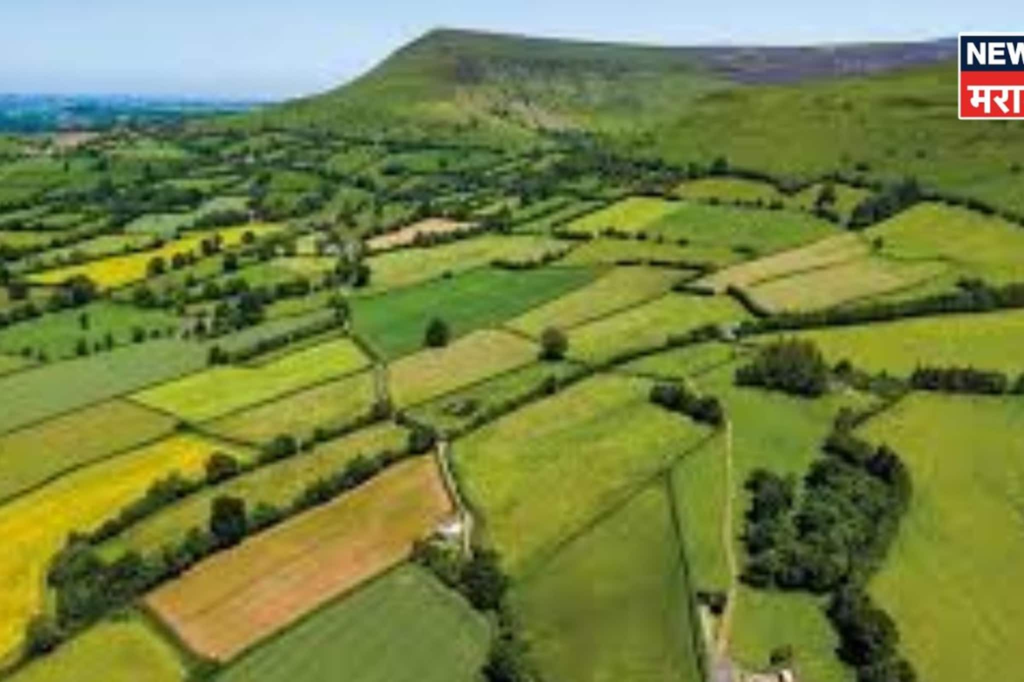 वर्षानुवर्षे जमीन वापरताय पण मालकीचा पुरावा नाही, अशा स्थितीत जमिनीवर हक्क कसा मिळवायचा?