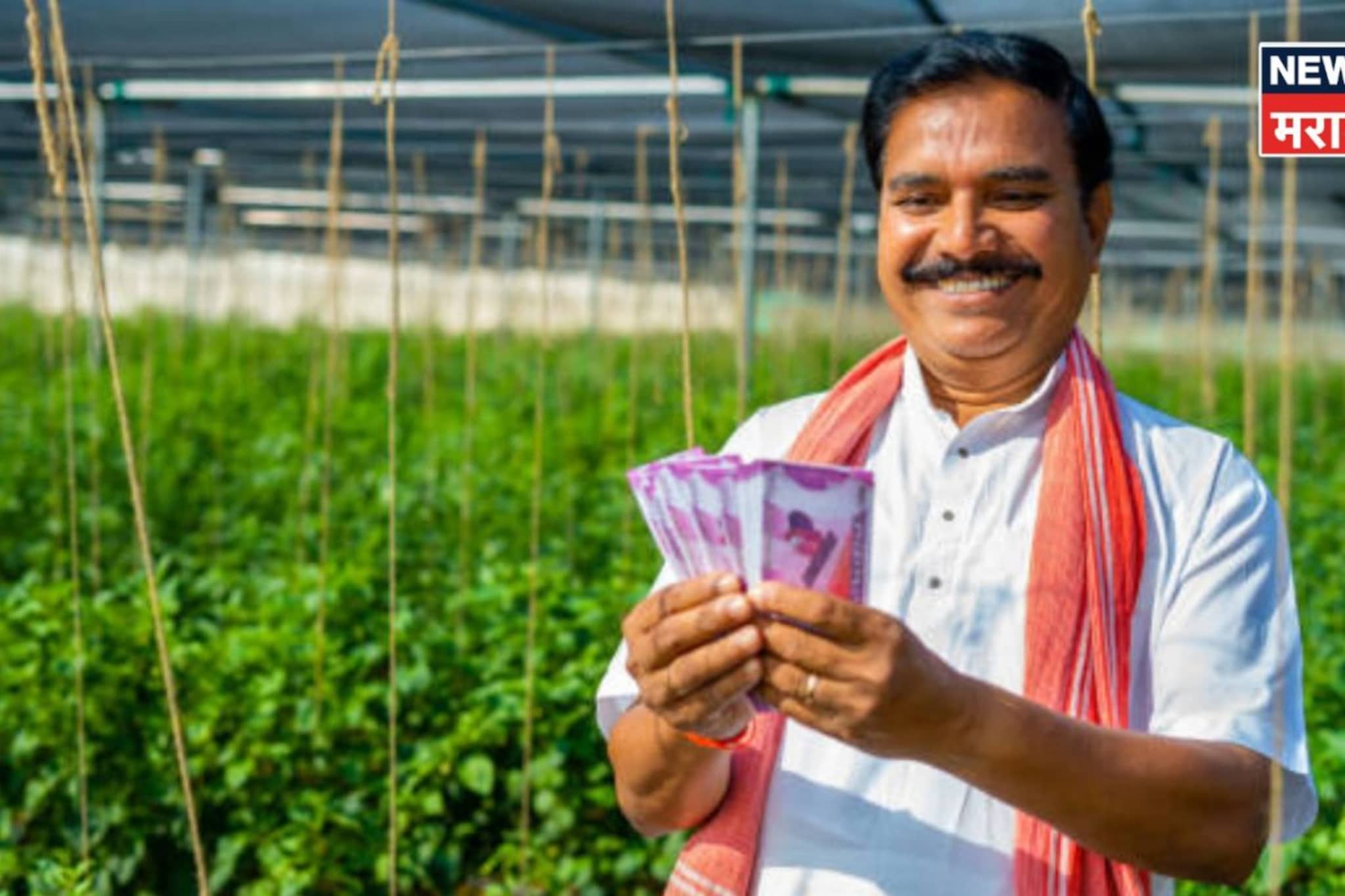 घोगरे कुटुंबीयांचा शेतात भन्नाट प्रयोग! दुष्काळातही घरात येतोय लाखोंनी पैसा