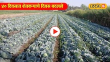 Video: ऊसात कोबी लावला आणि ४० दिवसात शेतकऱ्याचे दिवस बदलले