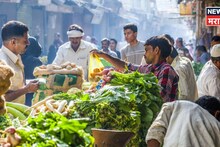 Krushi Market : सोयाबीनच्या दरात तेजी तर कापूस स्थिर,टोमॅटो कारल्याची स्थिती काय?  वाचा आजचे बाजारभाव