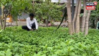 Farmer Success Story