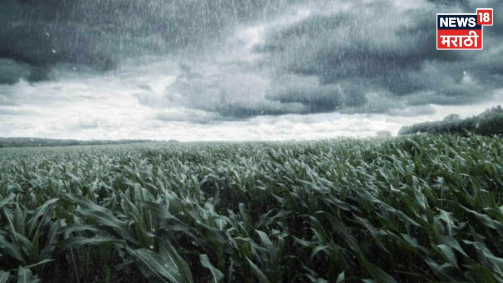 शेतकऱ्यांना कृषी विभागाचा अलर्ट! राज्यात 'या' तारखेला अवकळीचा तडाखा बसणार, काय काळजी घ्याल?