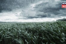 शेतकऱ्यांना कृषी विभागाचा अलर्ट! राज्यात 'या' तारखेला अवकळीचा तडाखा बसणार, काय काळजी घ्याल?