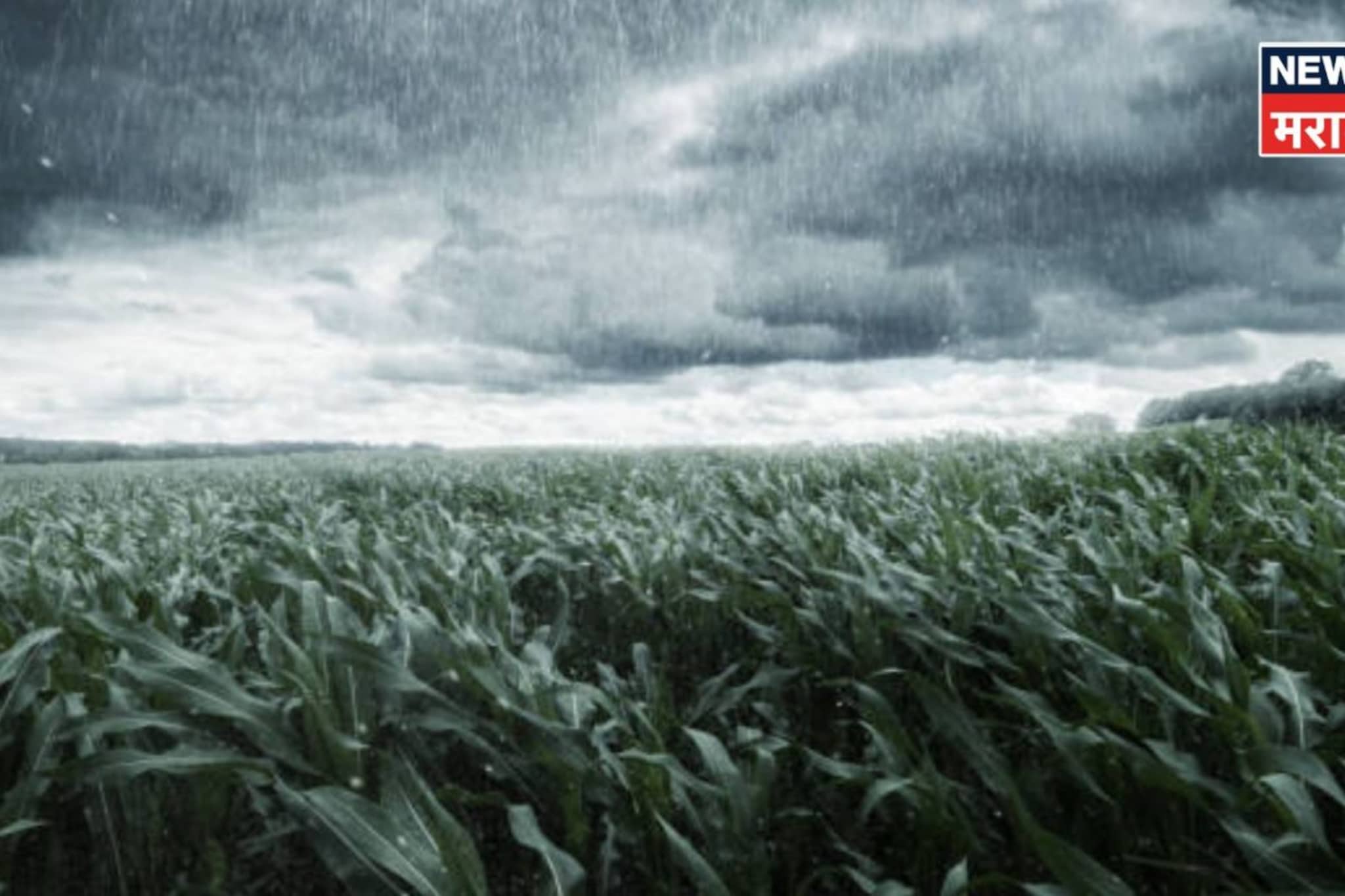 शेतकऱ्यांना कृषी विभागाचा अलर्ट! राज्यात 'या' तारखेला अवकळीचा तडाखा बसणार, काय काळजी घ्याल?