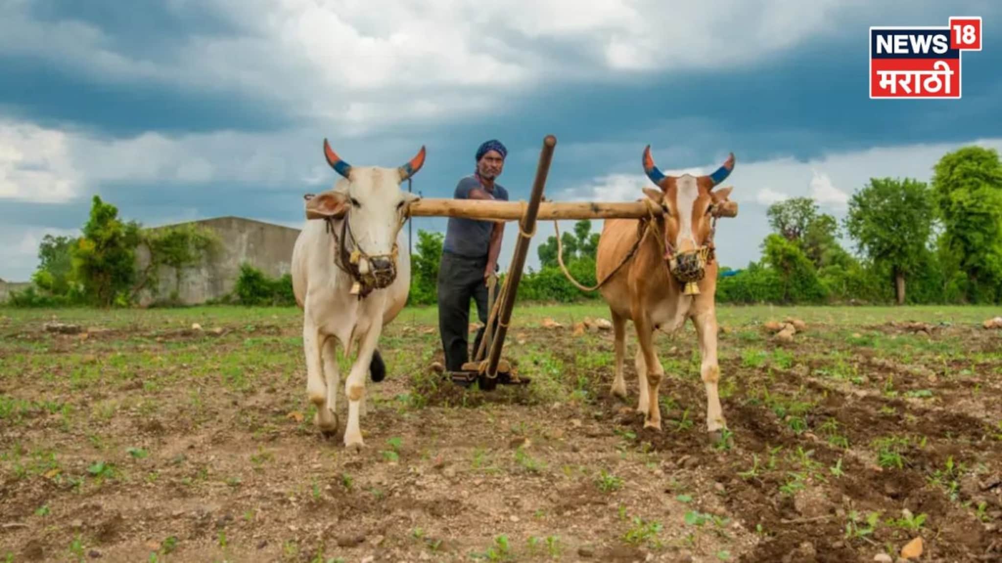 आधी मोजणी केलेल्या शेतजमिनीची हद्द मान्य नाही? अशावेळेस कायदेशीर मार्ग काय?