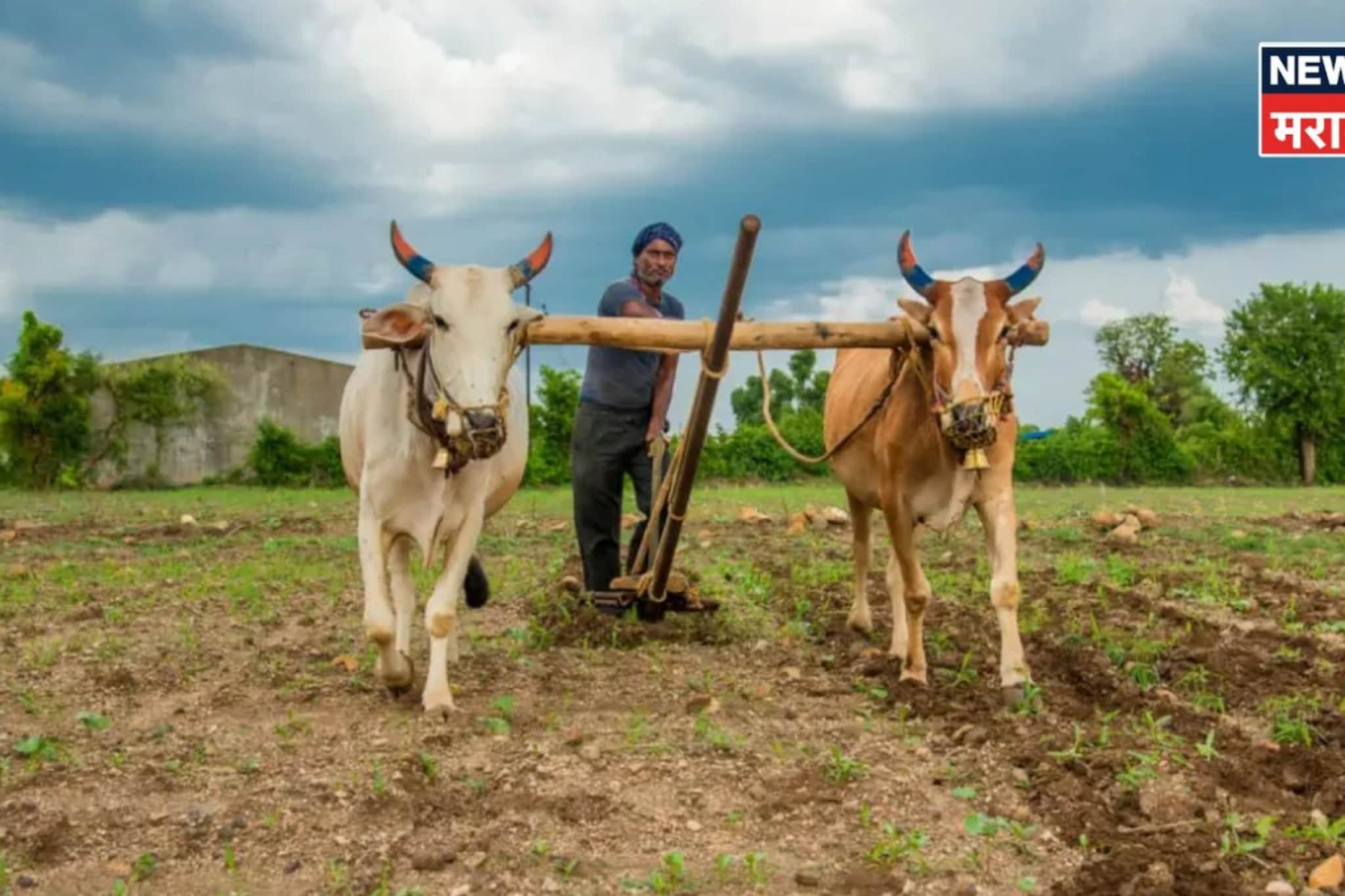 आधी मोजणी केलेल्या शेतजमिनीची हद्द मान्य नाही? अशावेळेस कायदेशीर मार्ग काय? आधी मोजणी केलेल्या शेतजमिनीची हद्द मान्य नाही? अशावेळेस कायदेशीर मार्ग काय?