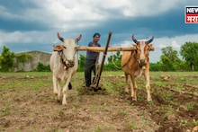 आधी मोजणी केलेल्या शेतजमिनीची हद्द मान्य नाही? अशावेळेस कायदेशीर मार्ग काय?