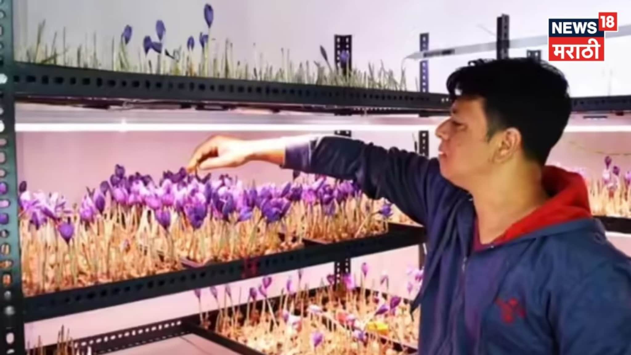  "जिद हो तो ऐसी" कॅन्सर झाला, किडनी काढली तरी हारला नाही, पुण्याचा गौतम या शेतीतून करतोय लाखोंची कमाई