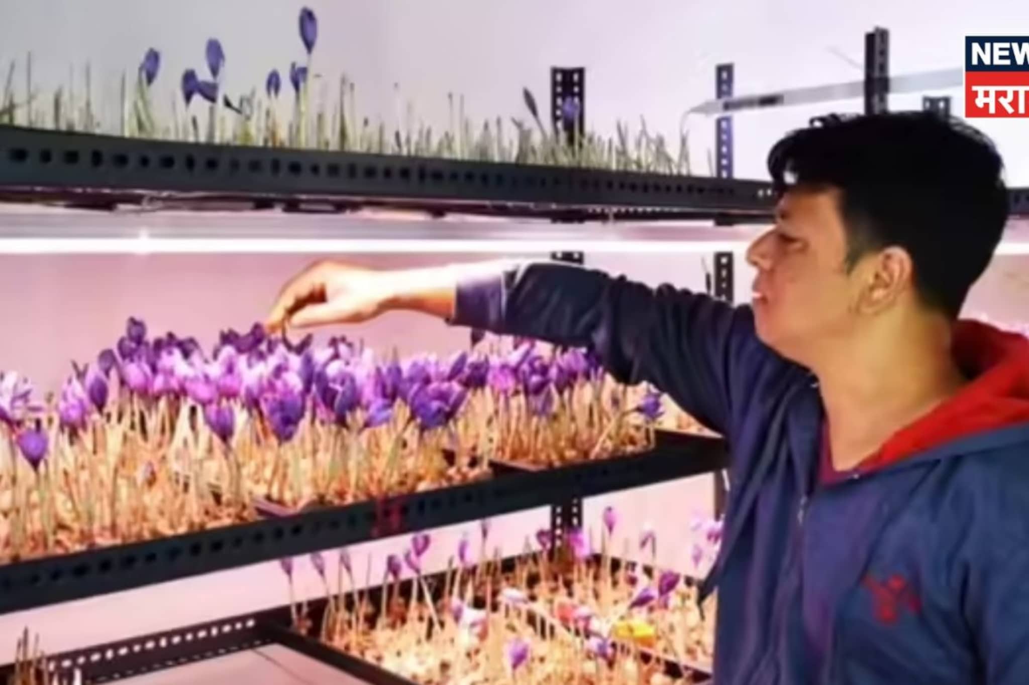 "जिद हो तो ऐसी" कॅन्सर झाला, किडनी काढली तरी हारला नाही, पुण्याचा गौतम या शेतीतून करतोय लाखोंची कमाई "जिद हो तो ऐसी" कॅन्सर झाला, किडनी काढली तरी हारला नाही, पुण्याचा गौतम या शेतीतून करतोय लाखोंची कमाई