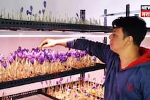 "जिद हो तो ऐसी" कॅन्सर झाला, किडनी काढली तरी हारला नाही, पुण्याचा गौतम या शेतीतून करतोय लाखोंची कमाई