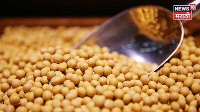 Soyabean market Update 