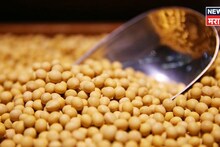 मार्चच्या अखेरीस सोयाबीनच्या दरात मोठी उलथपालथ! एप्रिलमध्ये दर कडाडणार? नवीन अपडेट आली समोर