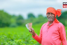 महत्वाची अपडेट! इतक्या लाख शेतकऱ्यांच्या कर्जमाफीचा मार्ग मोकळा, प्रक्रिया कधीपासून सुरू होणार?