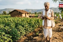 गंगापूरच्या शेतकऱ्याचा नाद खुळा! युपी, बिहारचं मार्केट ओळखलं, या स्पेशल पिकाच्या शेतीतून करतोय लाखोंची कमाई