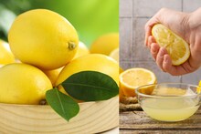 Tips To Buy Lemons : गोल की लांब, पिवळं की हिरवं.. कोणत्या लिंबामध्ये असतो जास्त रस? सोप्या टिप्सने ओळखा