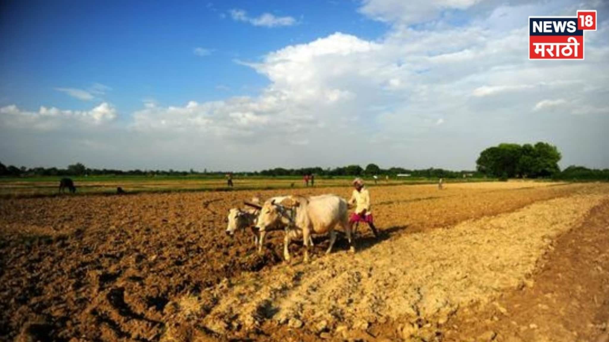 जमीन NA करण्याचा नवीन जीआर कुणाला लागू होतो कुणाला नाही? ९९ टक्के लोकांना माहितच नाही