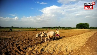 Agriculture news Agriculture news