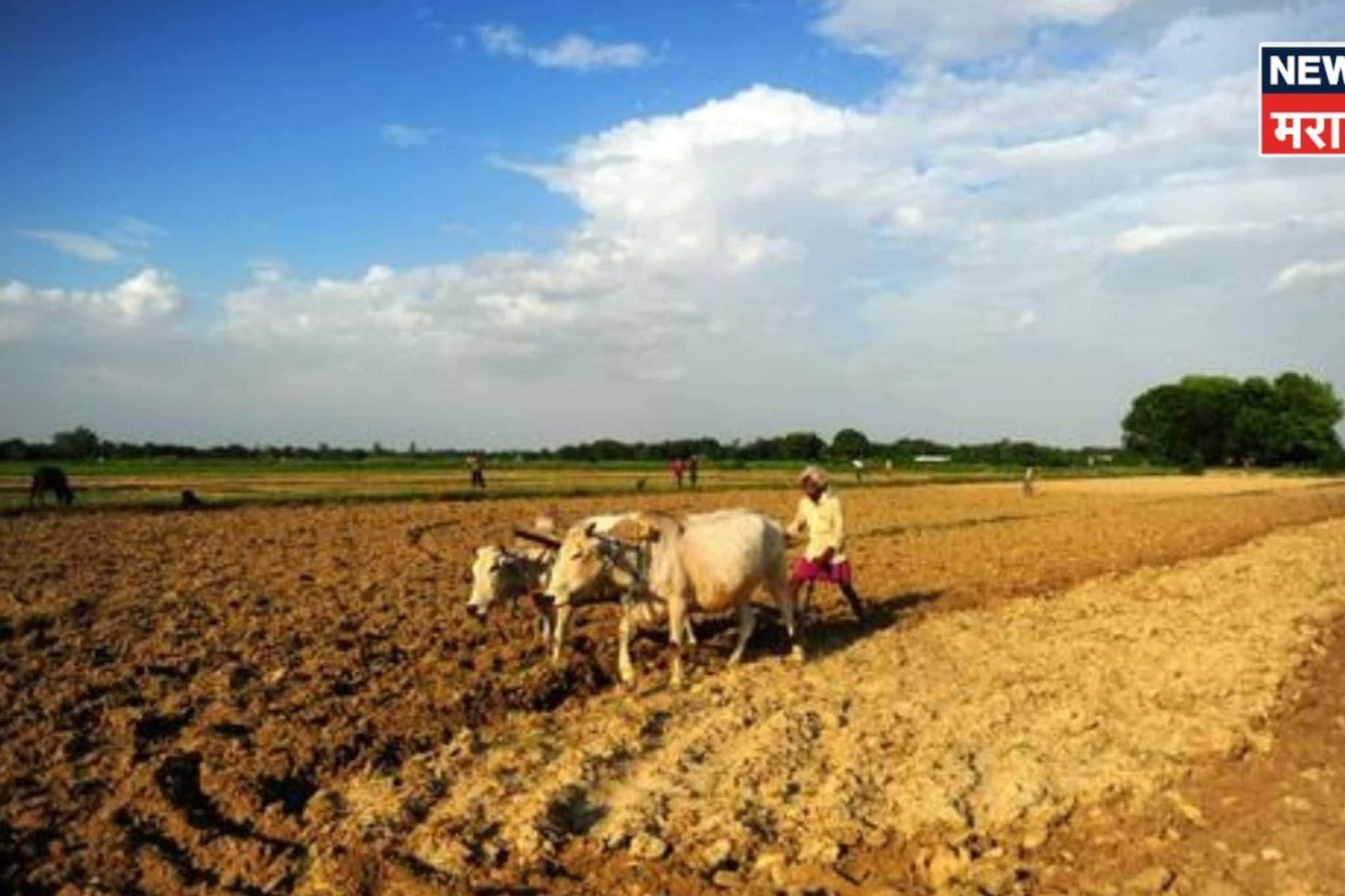 भोगवटादार वर्ग-२ जमिनींचा नजराणा शुल्क का भरला जातो? न भरल्यास काय कारवाई होते? भोगवटादार वर्ग-२ जमिनींचा नजराणा शुल्क का भरला जातो? न भरल्यास काय कारवाई होते?