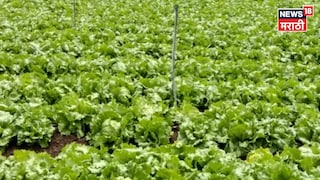 Agriculture News Agriculture News