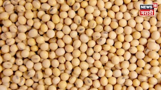 Soyabean Market Update Soyabean Market Update