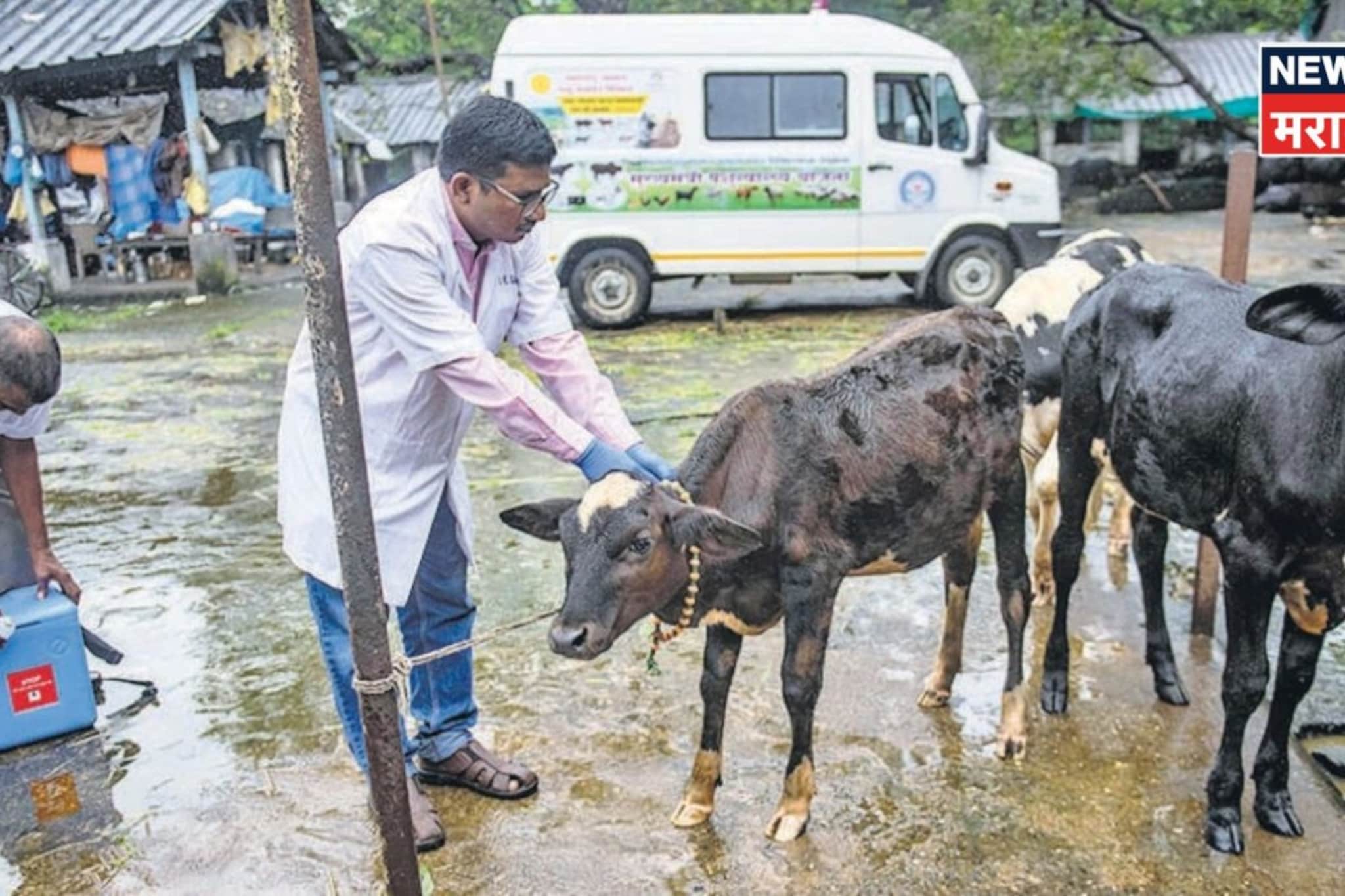 राज्यातील शेतकऱ्यांवर नवीन संकट ! पशुवैद्यक, पशुधन पर्यवेक्षक घेणार मोठा निर्णय