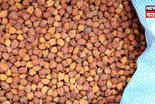 हरभरा नोंदणी प्रक्रिया सुरू! घरबसल्या मोबाईलवरुन  झटपट रजिस्ट्रेशन कसं करायचं? A TO Z माहिती