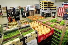 इराण-अमेरिका युद्धाची आता भारताला मोजावी लागणार मोठी किंमत, कृषी क्षेत्रावर आलं मोठं संकट