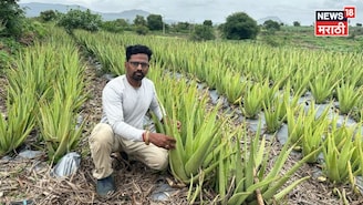 लोकांनी फेकून दिलेली रोपं स्वत:च्या शेतात लावली!साताऱ्याच्या ऋषिकेश झाला करोडपती