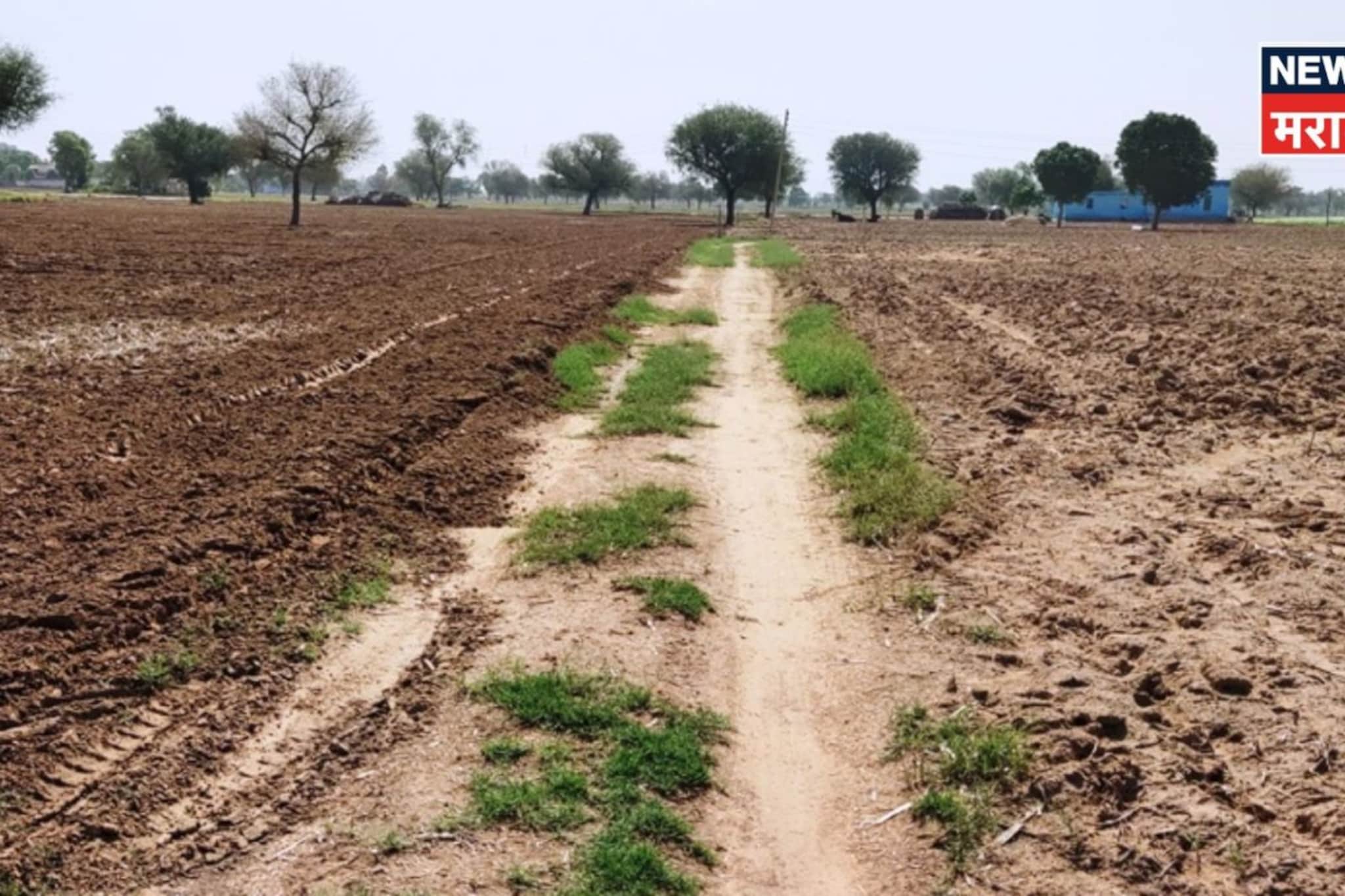 जमीन NA करण्याची अट रद्द केली पण अंमलबजावणी कशी होणार? वाचा सविस्तर