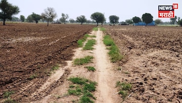 सातबारा उतारा, फेरफार नोंदी ते प्रॉपर्टी कार्डपर्यंत! महाभूलेख विभागाकडून मोठे बदल, वाचा सविस्तर