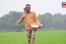इराण-अमेरिका युद्धामुळे रासायनिक खतांचा तुटवडा होणार? केंद्र सरकारने थेट सांगितलं