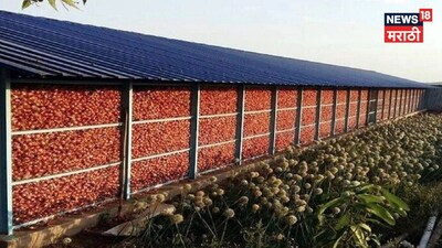 Kanda Chal Anudan Yojana 