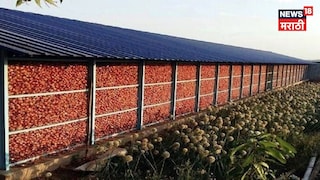 Kanda Chal Anudan Yojana 