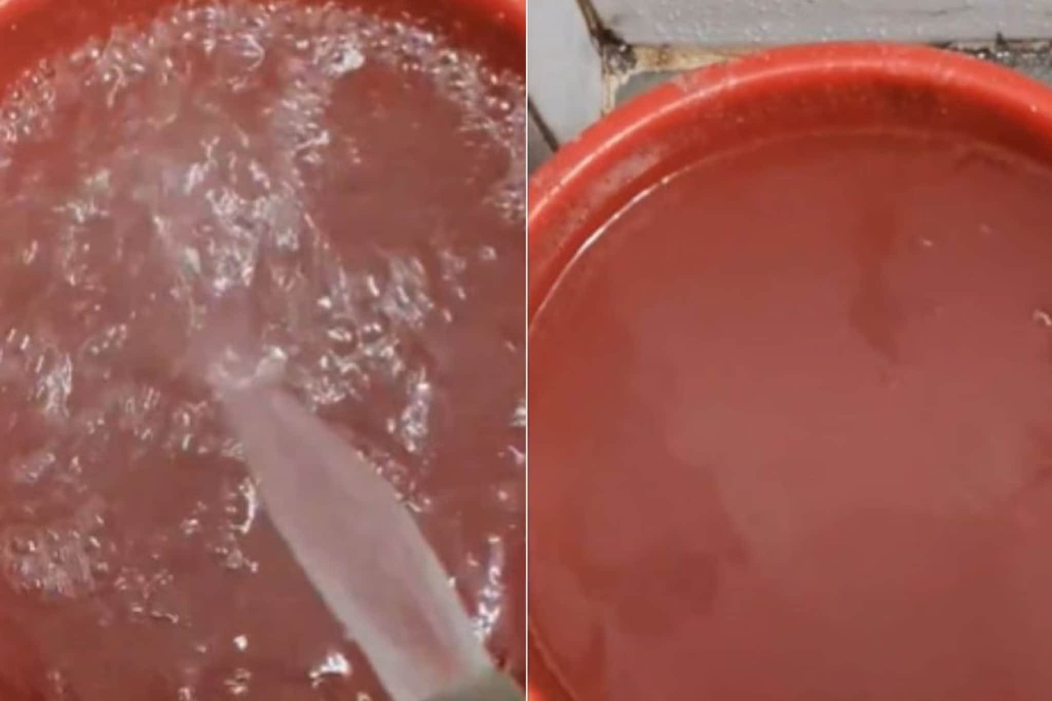 देशाची आर्थिक राजधानी अन् नळाला गढूळ पाणी! मुंबईच्या वांद्रे भागातला किळसवाणा प्रकार देशाची आर्थिक राजधानी अन् नळाला गढूळ पाणी! मुंबईच्या वांद्रे भागातला किळसवाणा प्रकार