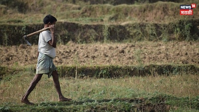 अल निनोचे मान्सूनवर सावट: स्कायमेटचा अंदाज, यंदा सरासरीपेक्षा कमी पाऊस